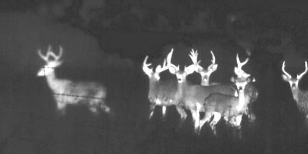 Termovize FLIR Scout III 640 pre nočné videnie