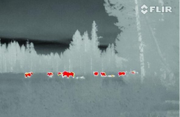 Termovize FLIR Scout III 640 pre nočné videnie