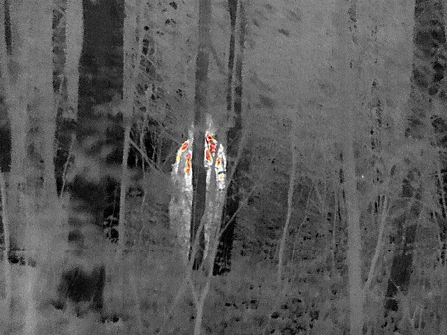 Termovize FLIR Scout Pro II