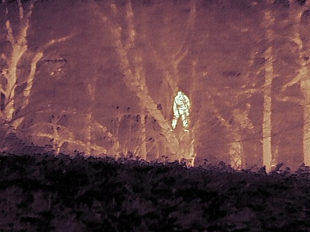 Termovize FLIR Scout Pro III