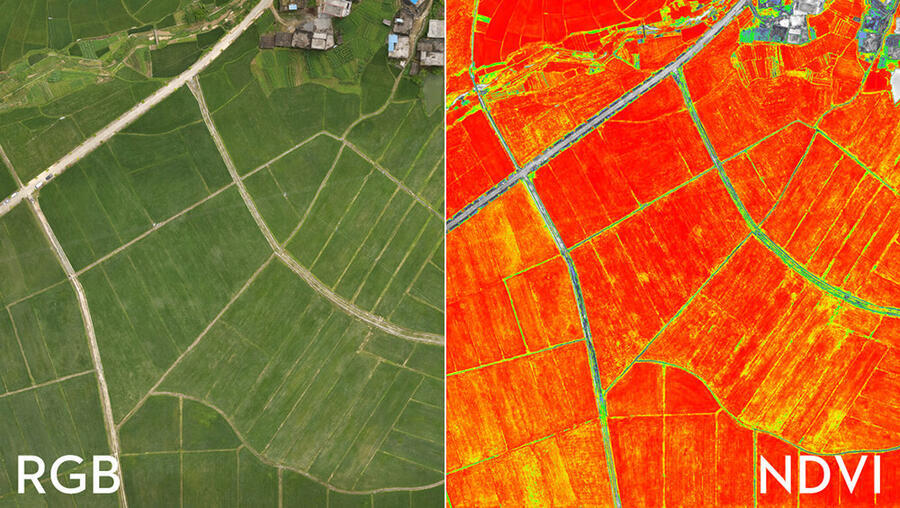 DJI Phantom 4 Multispectral